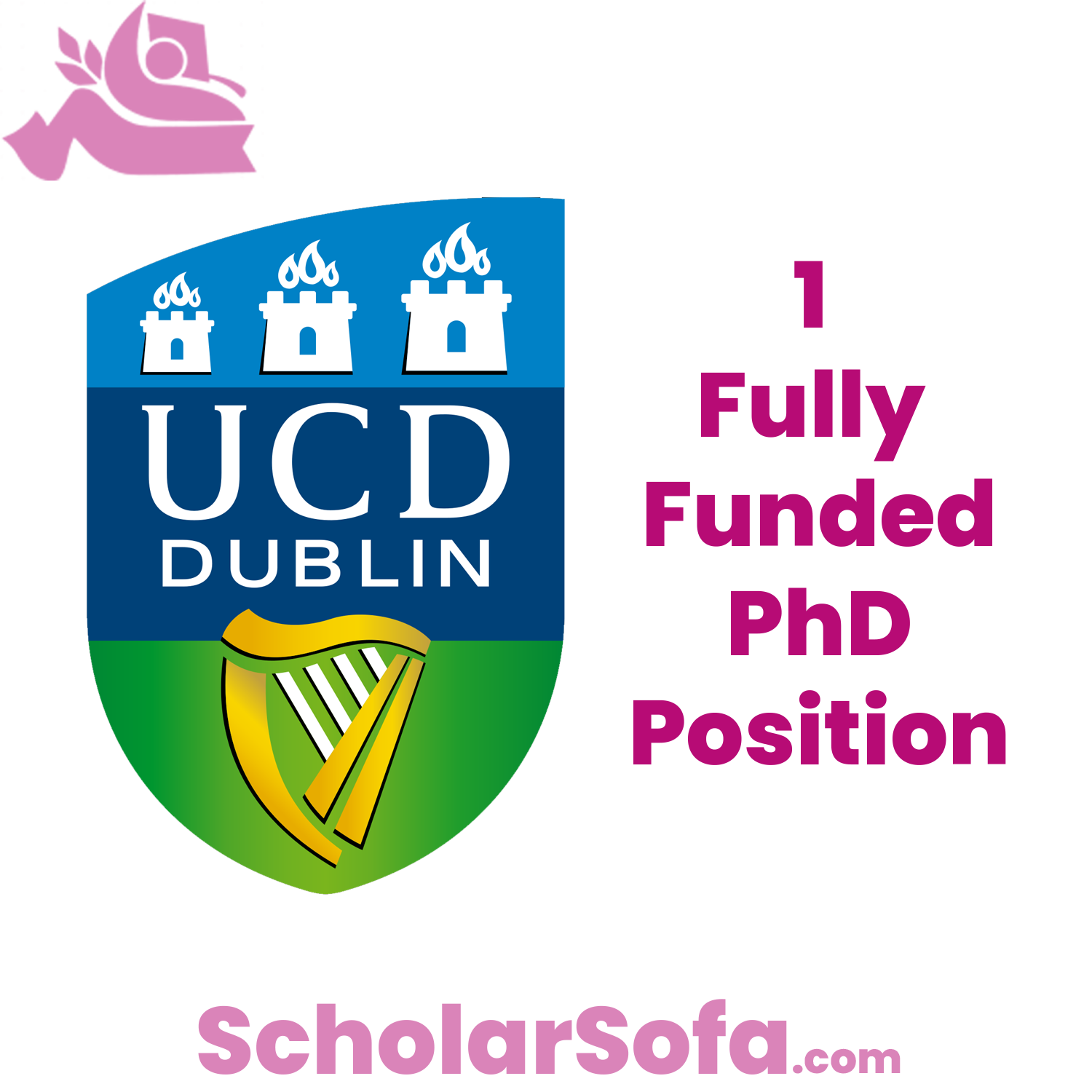 Submit your application for the Ad Astra PhD Scholarship in Global Health using the official UCD online form.
