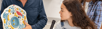 Postdoc in Plant Cell Biology at Ghent University