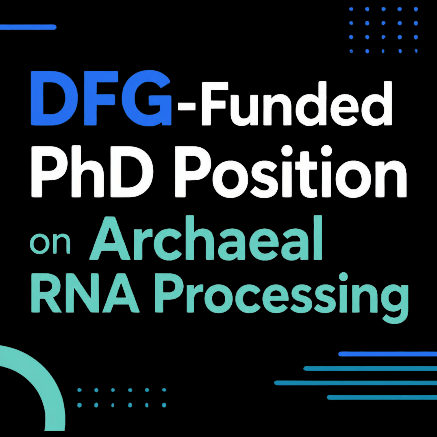 DFG-Funded PhD Position on Archaeal RNA Processing