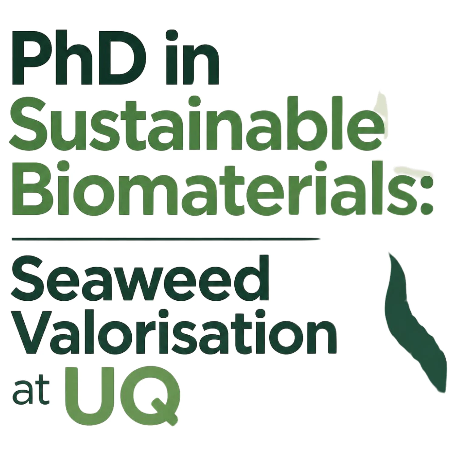 PhD in Sustainable Biomaterials Seaweed Valorisation at UQ